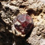 Almandino (Grupo Granate)El Hoyazo, Níjar, Comarca Metropolitana de Almería, Almería, Andalusia, SpainCV  2 x 1 cm (Autor: Joan Niella)