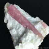 Elbaíta (variedad rubelita)<br />Minas Gerais, Brasil<br />6 x 4 cm<br /> (Autor: Joan Niella)