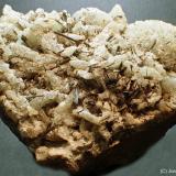Hornblenda<br />Cantera Minera I, Cerro de los Serranos, Lebrija, Comarca Bajo Guadalquivir, Sevilla, Andalucía, España<br />8 x 7 cm<br /> (Autor: Joan Niella)