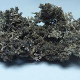 Plata (variedad kongsbergita)Santa Matilde cut, Berja mining group, Las Herrerías, Almagrera Range, Cuevas del Almanzora, Comarca Levante Almeriense, Almería, Andalusia, Spain1,4 x 1 cm. (Autor: javier ruiz martin)