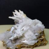 Aragonite (variety flos ferri)<br />Castagno Mine (Migliarini e Forra), Gambassi Terme, Metropolitan City of Florence, Tuscany, Italy<br />74 x 70 mm<br /> (Author: Sante Celiberti)