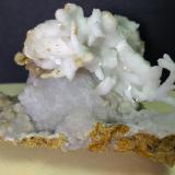 Aragonite (variety flos ferri)<br />Castagno Mine (Migliarini e Forra), Gambassi Terme, Metropolitan City of Florence, Tuscany, Italy<br />74 x 70 mm<br /> (Author: Sante Celiberti)