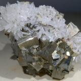 Pyrite, Aragonite (variety strontian)Boccheggiano Mines, Montieri, Grosseto Province, Tuscany, Italy50 x 35 mm (Author: Sante Celiberti)
