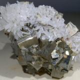 Pyrite, Aragonite (variety strontian)<br />Boccheggiano Mines, Montieri, Grosseto Province, Tuscany, Italy<br />50 x 35 mm<br /> (Author: Sante Celiberti)