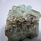 Berilo (variedad aguamarina)Distrito Skardu, Gilgit-Baltistan (Áreas del Norte), Paquistán40 x 20 mm (Autor: Joan Niella)
