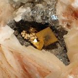 WulfenitaMibladen (distrito minero Mibladen), Midelt, Provincia Midelt, Región Drâa-Tafilalet, MarruecosCV 2 x 1 cm (Autor: Joan Niella)