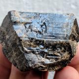 CasiteritaBoticas, Vila Real District, Alto Trás-os-Montes, Norte Region, Portugal4,2 x 2,8 x 2,5 cm. (Autor: Carles)