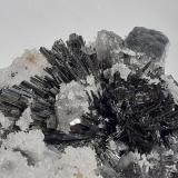 Stibnite, Calcite<br />Herja Mine, Chiuzbaia, Baia Sprie, Maramures, Romania<br />12 x 7 cm<br /> (Author: Volkmar Stingl)