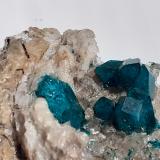 Dioptase, Quartz<br />Altyn-Tyube deposit, Altyn-Tyube area, Kirghiz Steppes, Karaganda Region, Kazakhstan<br />8 x 7 cm<br /> (Author: Volkmar Stingl)