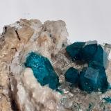 Dioptase, QuartzAltyn-Tyube deposit, Altyn-Tyube area, Kirghiz Steppes, Karaganda Region, Kazakhstan8 x 7 cm (Author: Volkmar Stingl)