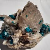 Dioptase, Quartz<br />Altyn-Tyube deposit, Altyn-Tyube area, Kirghiz Steppes, Karaganda Region, Kazakhstan<br />8 x 7 cm<br /> (Author: Volkmar Stingl)