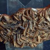 Siderita<br />Socavón Santa Bárbara (Túnel El Arteal), Sierra Almagrera, Cuevas del Almanzora, Comarca Levante Almeriense, Almería, Andalucía, España<br />7.5 x 4.5 cm<br /> (Autor: Pedro Antonio)