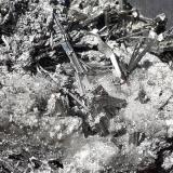 Stibnite<br />Stadtschlaining, Oberwart District, Burgenland, Austria<br />6 x 3,5 cm<br /> (Author: Volkmar Stingl)