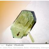 Olivenite<br />Clara Mine, Rankach Valley, Oberwolfach, Wolfach, Black Forest, Baden-Württemberg, Germany<br />fov 1.55 mm<br /> (Author: ploum)