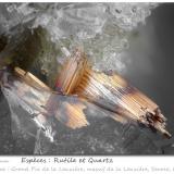 Rutile in/on Quartz<br />Grand Pic de la Lauzière, La Lauzière Massif, Saint-Jean-de-Maurienne, Savoie, Auvergne-Rhône-Alpes, France<br />fov 3.5 mm<br /> (Author: ploum)