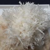 Aragonite (variety flos ferri)<br />Nals-Prissian Mine, Nalles (Nals), Autonomous Province South Tyrol, Trentino-Alto Adige (Trentino-Südtirol), Italy<br />4 x 4 cm<br /> (Author: Volkmar Stingl)