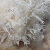 Aragonite (variety flos ferri)<br />Nals-Prissian Mine, Nalles (Nals), Autonomous Province South Tyrol, Trentino-Alto Adige (Trentino-Südtirol), Italy<br />4 x 4 cm<br /> (Author: Volkmar Stingl)