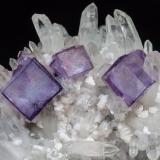 Fluorite with Quartz and DolomiteYaogangxian Mine, Yizhang, Chenzhou Prefecture, Hunan Province, ChinaSpecimen size: 9.7 × 8.4 × 6.1 cm / main crystal size: 1.2 × 1.1 cm (Author: Jordi Fabre)