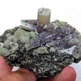 Fluorapatito, Moscovita, Clorita<br />Minas da Panasqueira, nivel 0, Aldeia de São Francisco de Assis, Covilhã, Castelo Branco, Cova da Beira, Centro, Portugal<br />7,7 x 5,8 cm.<br /> (Autor: Carles)