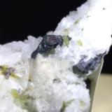 Bornite<br />Montecastelli Pisano, Castelnuovo Val di Cecina, Pisa Province, Tuscany, Italy<br />29 x 18 mm<br /> (Author: Sante Celiberti)