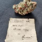 Diopside, Grossular<br />Mussa Alp, Balme, Val d'Ala, Lanzo Valleys (Valli di Lanzo), Metropolitan City of Turin Province, Piedmont (Piemonte), Italy<br />3,5 x 2,5 cm<br /> (Author: Volkmar Stingl)