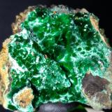 Malachite<br />Campiglia Marittima, Campigliese, Livorno Province, Toscana, Italy<br />41 x 28 mm<br /> (Author: Sante Celiberti)