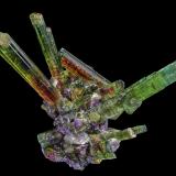 Elbaite<br />Chiar Mine, São José da Safira, Governador Valadares, Vale do Rio Doce, Minas Gerais, Brazil<br />7.9 x 13.6 cm<br /> (Author: am mizunaka)