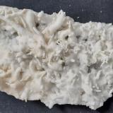 Aragonite (variety flos ferri)<br />Dienten am Hochkönig, Zell am See District, Salzburg, Austria<br />11 x 4,5 cm<br /> (Author: Volkmar Stingl)
