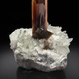 Brookite on Quartz<br />Kharan District, Balochistan (Baluchistan), Pakistan<br />pending<br /> (Author: Gail)