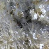 Aragonite, Kaolinite<br />La Selva Mine, Casal di Pari, Civitella-Paganico, Grosseto Province, Tuscany, Italy<br />18 x 12 cm<br /> (Author: Sante Celiberti)