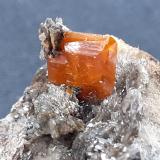 WulfenitePapago Mine, Black Rock Wash, Silver District, La Paz County, Arizona, USA3,5 x 2 cm (Author: Volkmar Stingl)