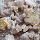 Wulfenite, CalciteHilltop Mine, Rustler Park, California District, Chiricahua Mountains, Cochise County, Arizona, USA9 x 8 cm (Author: Volkmar Stingl)