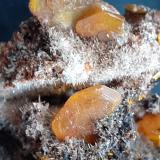 Wulfenite, Plattnerite (?)<br />San Francisco Mine, Cerro Prieto, Cucurpe, Municipio Cucurpe, Sonora, Mexico<br />4 x 3 cm<br /> (Author: Volkmar Stingl)