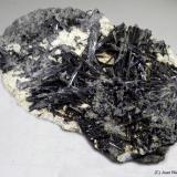 Hornblenda<br />Cantera Minera I, Cerro de los Serranos, Lebrija, Comarca Bajo Guadalquivir, Sevilla, Andalucía, España<br />8 x 4 cm<br /> (Autor: Joan Niella)