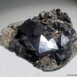 Magnetita<br />Cerro Huañaquino, Paco Grande, Provincia Tomás Frías, Departamento Potosí, Bolivia<br />6 x 4 cm<br /> (Autor: Joan Niella)