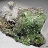 Piromorfita<br />Mina Daoping, Gongcheng, Prefectura Guilin, Región Autónoma Guangxi Zhuang, China<br />65 x 45 mm<br /> (Autor: Joan Niella)