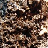 AugitaCantera Oficarsa, Cerro de las Culebras, Carchelejo, Cárcheles, Comarca Sierra Mágina, Jaén, Andalucía, EspañaCV  3 x 2 cm (Autor: Joan Niella)