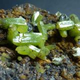 Piromorfita, Goethita, CuarzoResuperferolítica claim, Cerro de la Canaleja, Santa Eufemia, Comarca Los Pedroches, Córdoba, Andalusia, Spain6 x 5 cm. (Autor: javier ruiz martin)