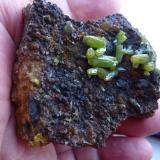 Piromorfita, Goethita, CuarzoResuperferolítica claim, Cerro de la Canaleja, Santa Eufemia, Comarca Los Pedroches, Córdoba, Andalusia, Spain6 x 5 cm. (Autor: javier ruiz martin)