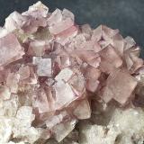 Fluorite<br />Highway #17 roadcut, Rossport, Thunder Bay District, Ontario, Canada<br />4 x 3 cm<br /> (Author: Volkmar Stingl)