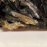 Stibnite, Klebelsbergite<br />Niccioleta Mine, Massa Marittima, Grosseto Province, Tuscany, Italy<br />47 x 35 mm<br /> (Author: Sante Celiberti)