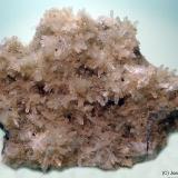 Natrolita<br />Cantera Hanson, Kulnura, Condado Northumberland, Nueva Gales del Sur, Australia<br />80 x 75 mm<br /> (Autor: Joan Niella)