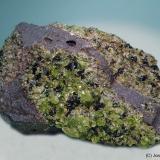 Olivino (Grupo)<br />San Carlos, Reserva India San Carlos, Condado Gila, Arizona, USA<br />8 x 5 cm<br /> (Autor: Joan Niella)