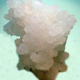 PrehnitaDistrito Nashik (Nasik), Maharashtra, India65 x 50 mm (Autor: Joan Niella)