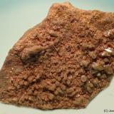 Piromorfita<br />Concesión Resuperferolítica, Cerro de la Canaleja, Santa Eufemia, Comarca Los Pedroches, Córdoba, Andalucía, España<br />5 x 4 cm<br /> (Autor: Joan Niella)