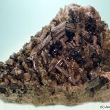 Epidota<br />Distrito Skardu, Gilgit-Baltistan (Áreas del Norte), Paquistán<br />9 x 7 cm<br /> (Autor: Joan Niella)