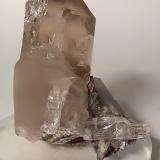 Quartz (variety smoky)<br />Sant'Anna (Sant'Anna di Stazzema), Apuan Alps, Stazzema Municipality, Lucca Province, Tuscany, Italy<br />55 x 46 mm<br /> (Author: Sante Celiberti)