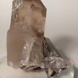 Quartz (variety smoky)<br />Sant'Anna (Sant'Anna di Stazzema), Apuan Alps, Stazzema Municipality, Lucca Province, Tuscany, Italy<br />55 x 46 mm<br /> (Author: Sante Celiberti)