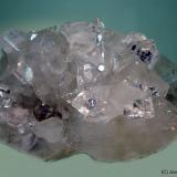 Fluorapophyllita-(K) (Apofilita)<br />Distrito Jalgaon, Maharashtra, India<br />135 x 75 mm<br /> (Autor: Joan Niella)
