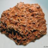 Microclina<br />Barranc de les Collades, Pantà d'Escales, Casterner de les Olles, Tremp, Comarca Pallars Jussà, Lérida / Lleida, Cataluña / Catalunya, España<br />85 x 75 mm<br /> (Autor: Joan Niella)